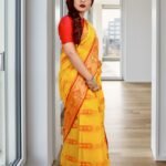 woman, indian saree, model-5829240.jpg
